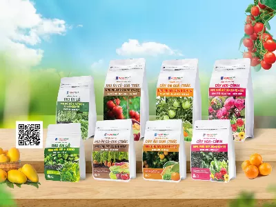 Introducing Phu My Garden product production line