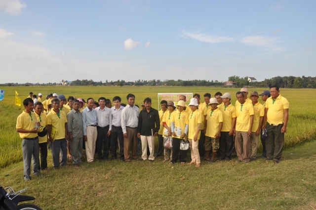 PVFCCo organized a workshop on summarizing the experimentation model of Phu My Urea on winter-spring rice crop in Prey Veng Province, Cambodia