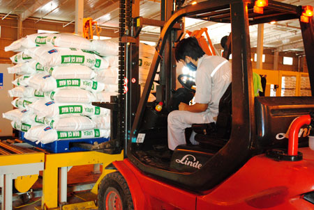 Ca Mau Fertilizer Plant with a capacity of 800,000 tons comes into operation