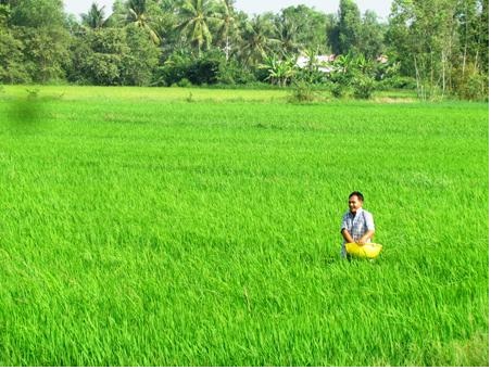 Mạnh tay “trảm” phân bón kém chất lượng