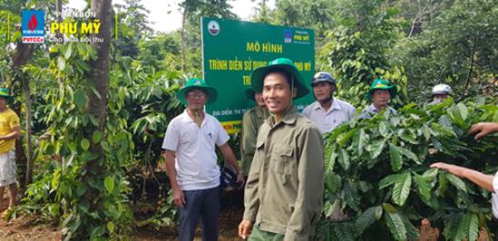 Coffee farmers in the Central Highlands province prefer Phu My fertilizer