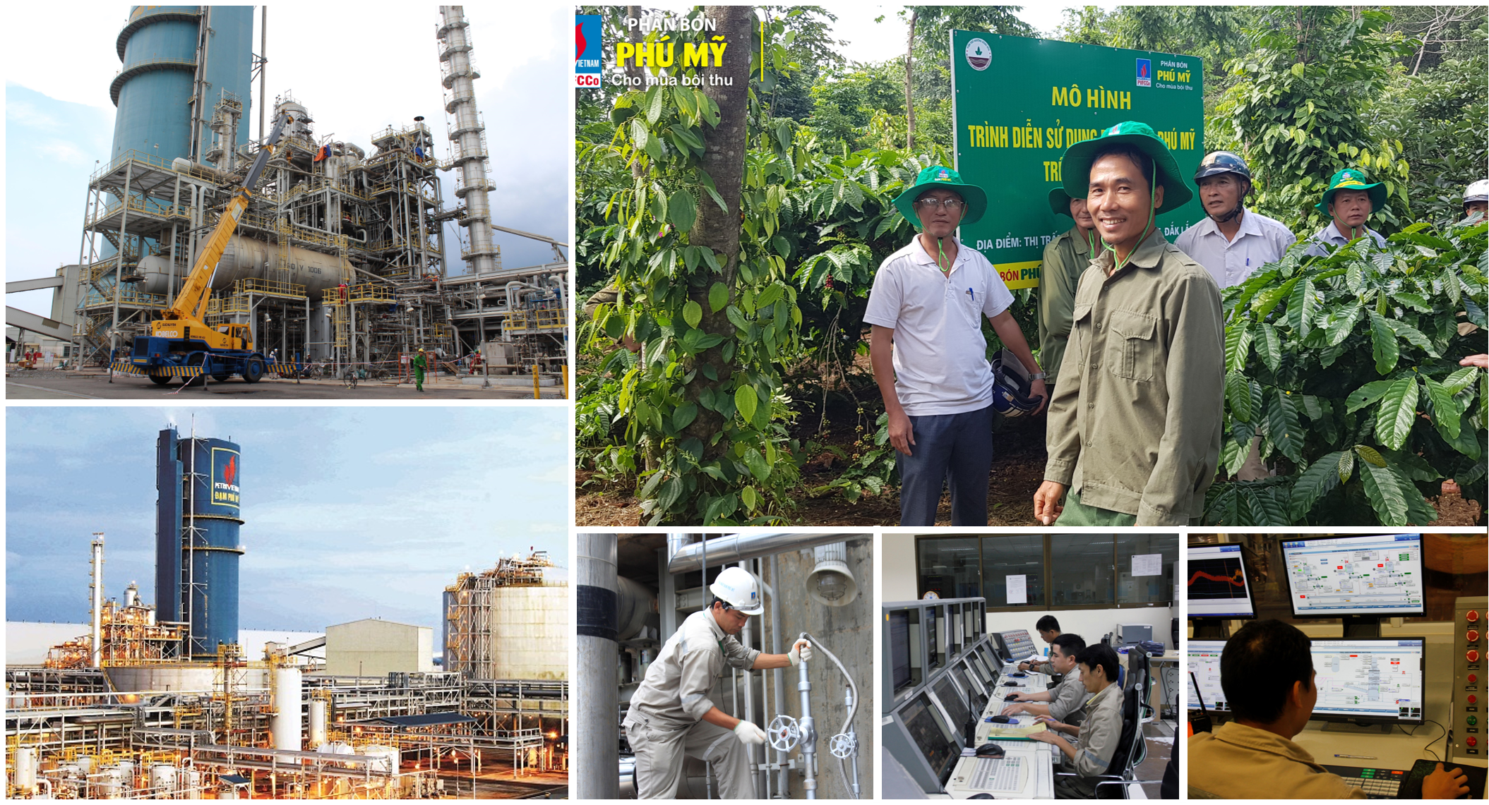 Đảng bộ PVFCCo Nhiệm kỳ 2015-2020: phát huy sức mạnh nội lực để thành công