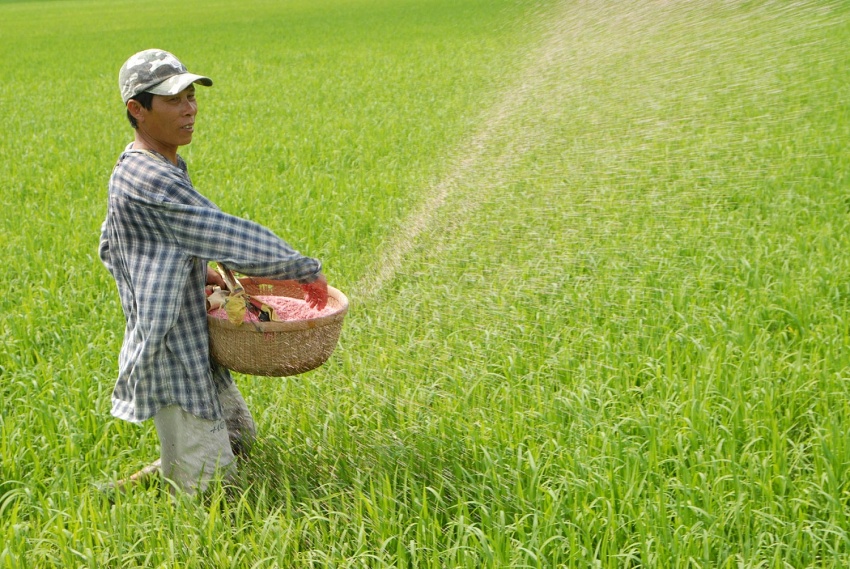 Will the selling price of fertilizers decrease when a 5% VAT is applied?